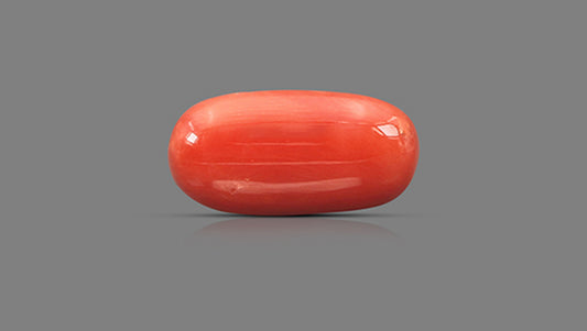 Natural Italian Red Coral (Moonga) 8.64 Carats