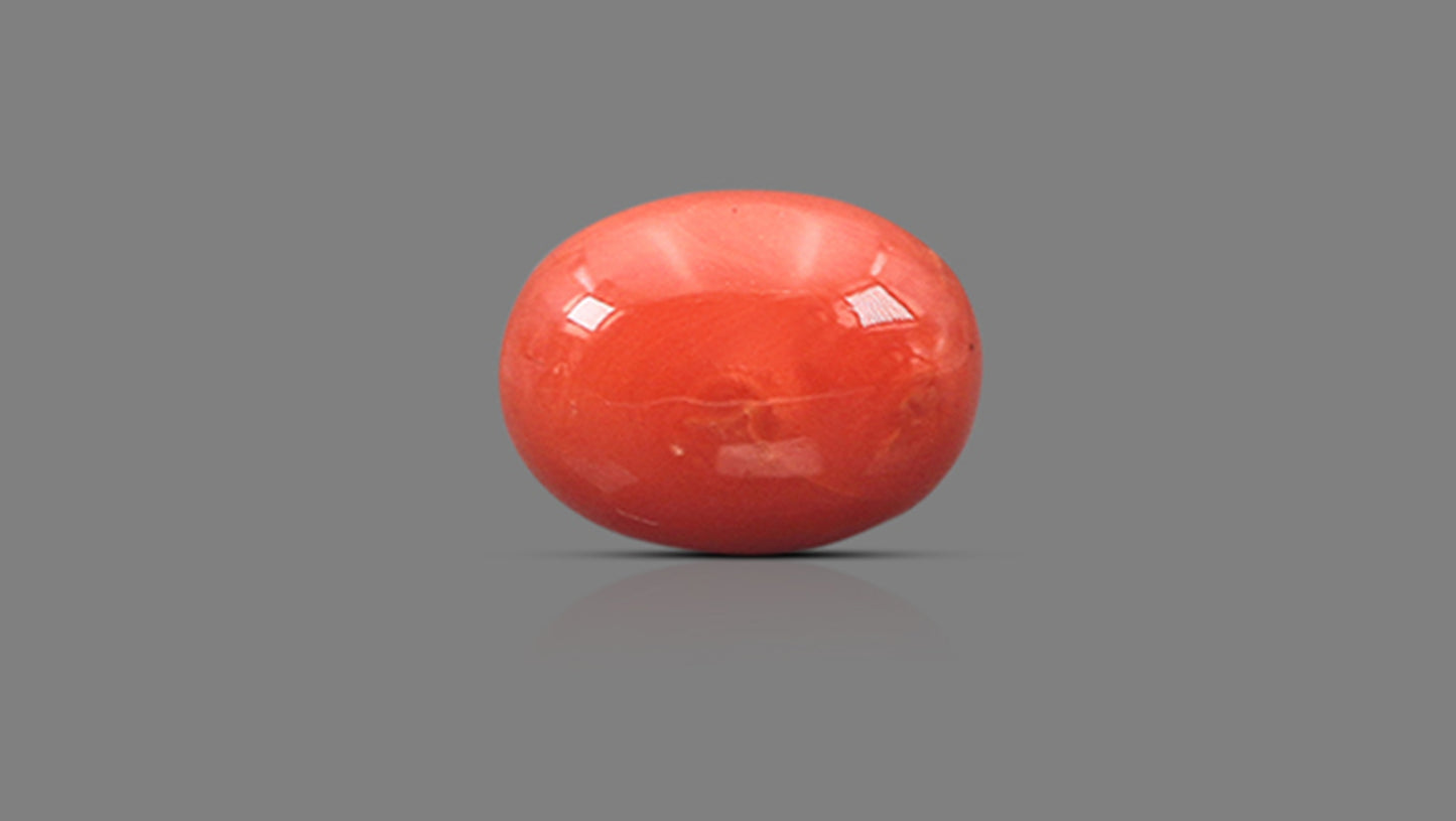 Natural Italian Red Coral (Moonga) 8.40 Carats