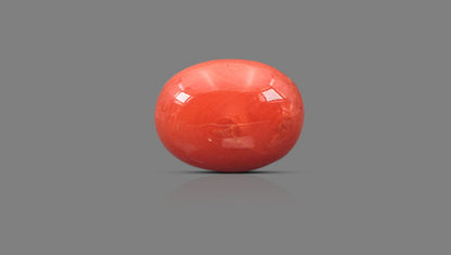 Natural Italian Red Coral (Moonga) 8.40 Carats
