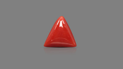 Natural Italian Red Coral (Moonga) 6.00 Carats