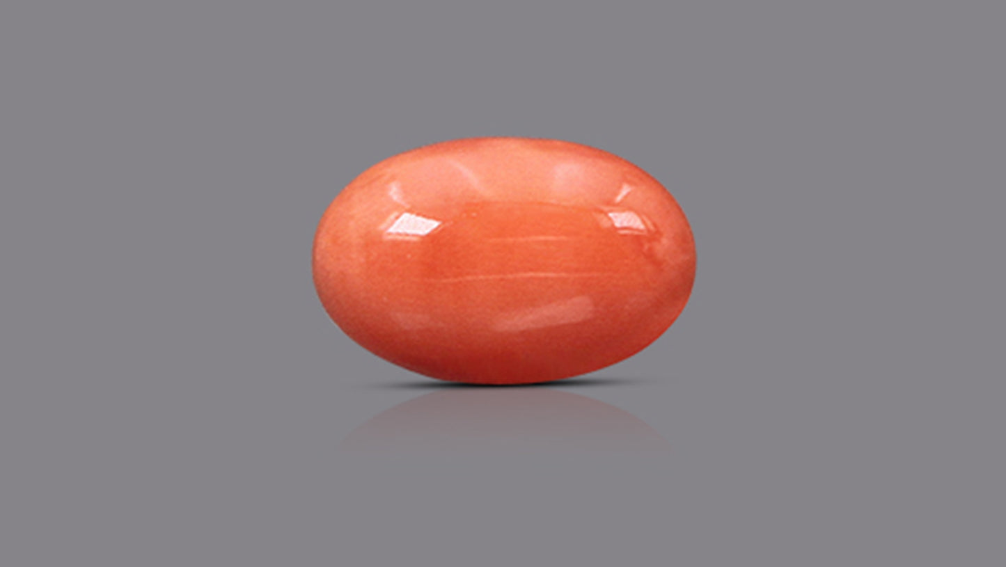 Japanese Red Coral (Moonga) 6.08 Carats