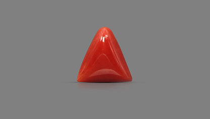 Natural Italian Red Coral (Moonga) 6.26 Carats