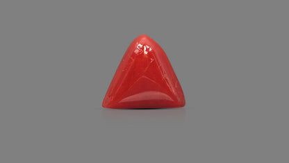 Natural Italian Red Coral (Moonga) 6.07 Carats