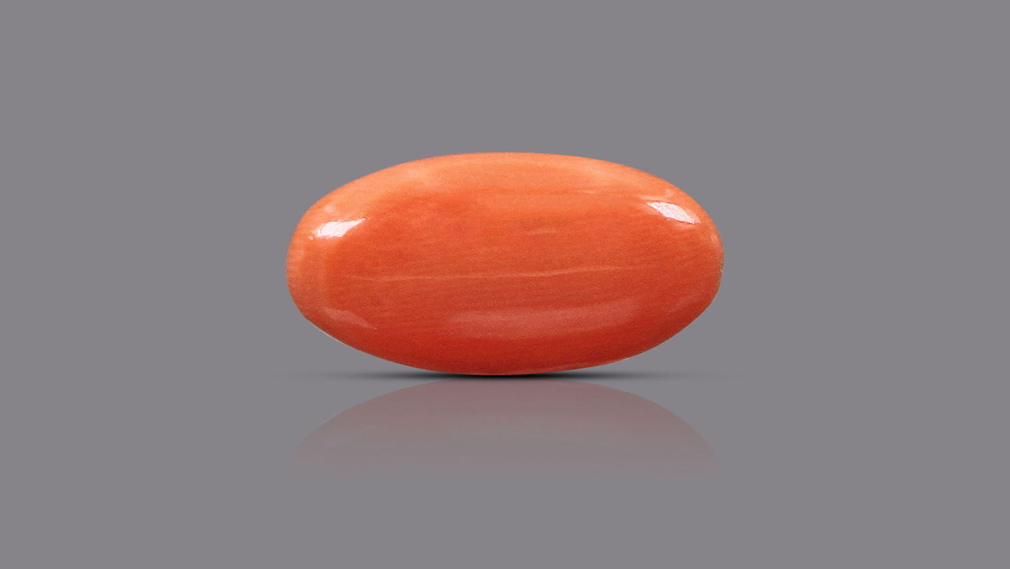 Japanese Red Coral (Moonga) 5.85 Carats