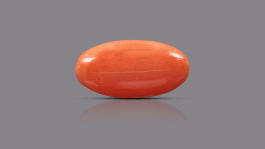 Japanese Red Coral (Moonga) 5.85 Carats