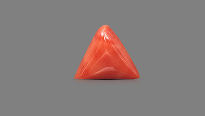 Natural Italian Red Coral (Moonga) 12.08 Carats