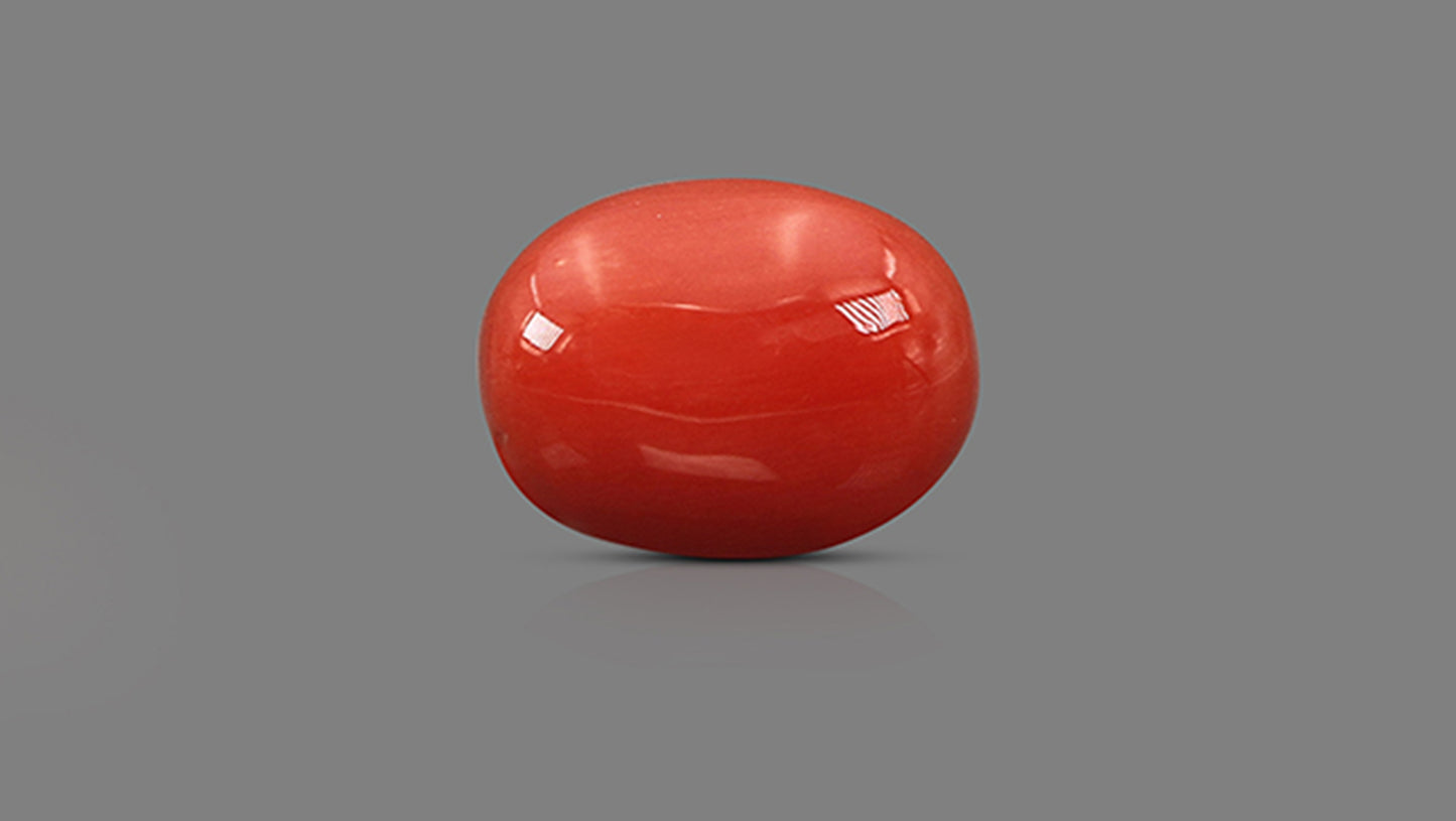 Natural Italian Red Coral (Moonga) 9.17 Carats