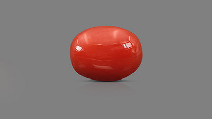 Natural Italian Red Coral (Moonga) 9.17 Carats
