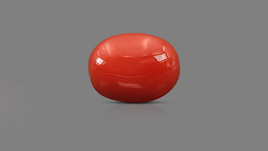 Natural Italian Red Coral (Moonga) 9.17 Carats