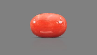 Natural Italian Red Coral (Moonga) 11.64 Carats