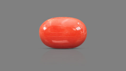 Natural Italian Red Coral (Moonga) 11.64 Carats