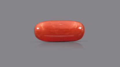 Natural Italian Red Coral (Moonga) 12.02 Carats