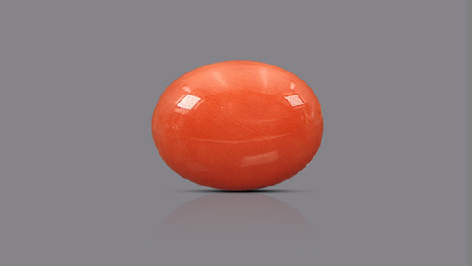 Japanese Red Coral (Moonga) 18.41 Carats