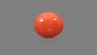 Japanese Red Coral (Moonga) 4.89 Carats