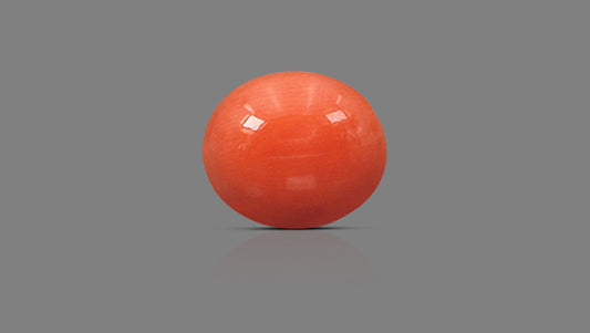 Japanese Red Coral (Moonga) 4.89 Carats