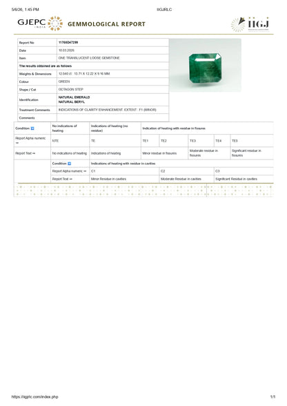 Natural Zambian Emerald (Panna) 12.04 Carats