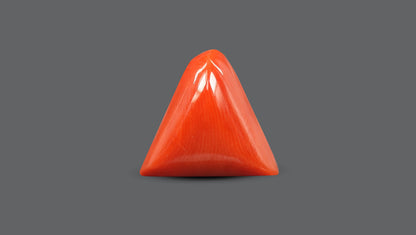 Natural Italian Red Coral (Moonga) 6.43 Carats