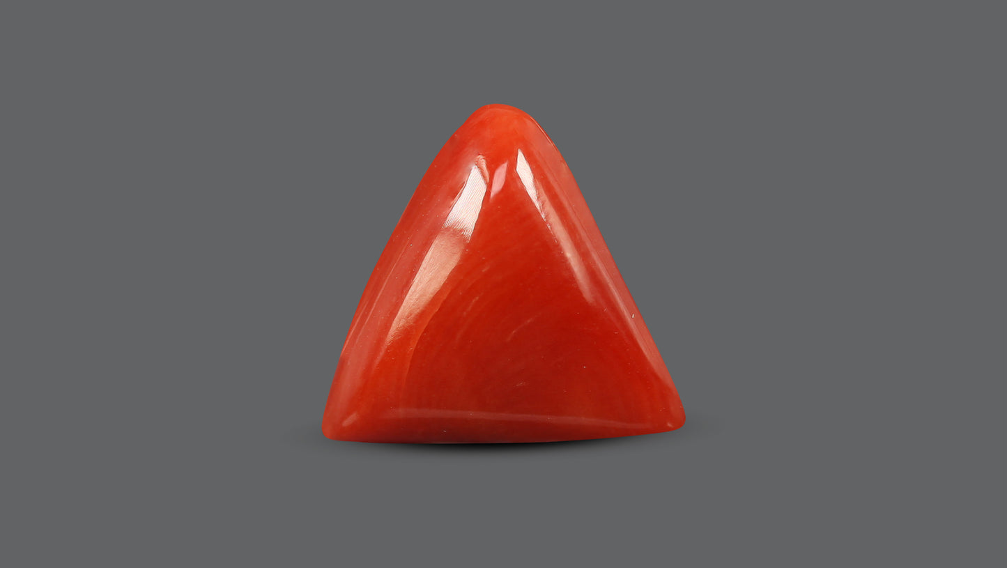 Natural Italian Red Coral (Moonga) 5.84 Carats
