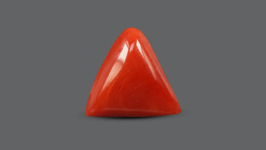 Natural Italian Red Coral (Moonga) 5.84 Carats