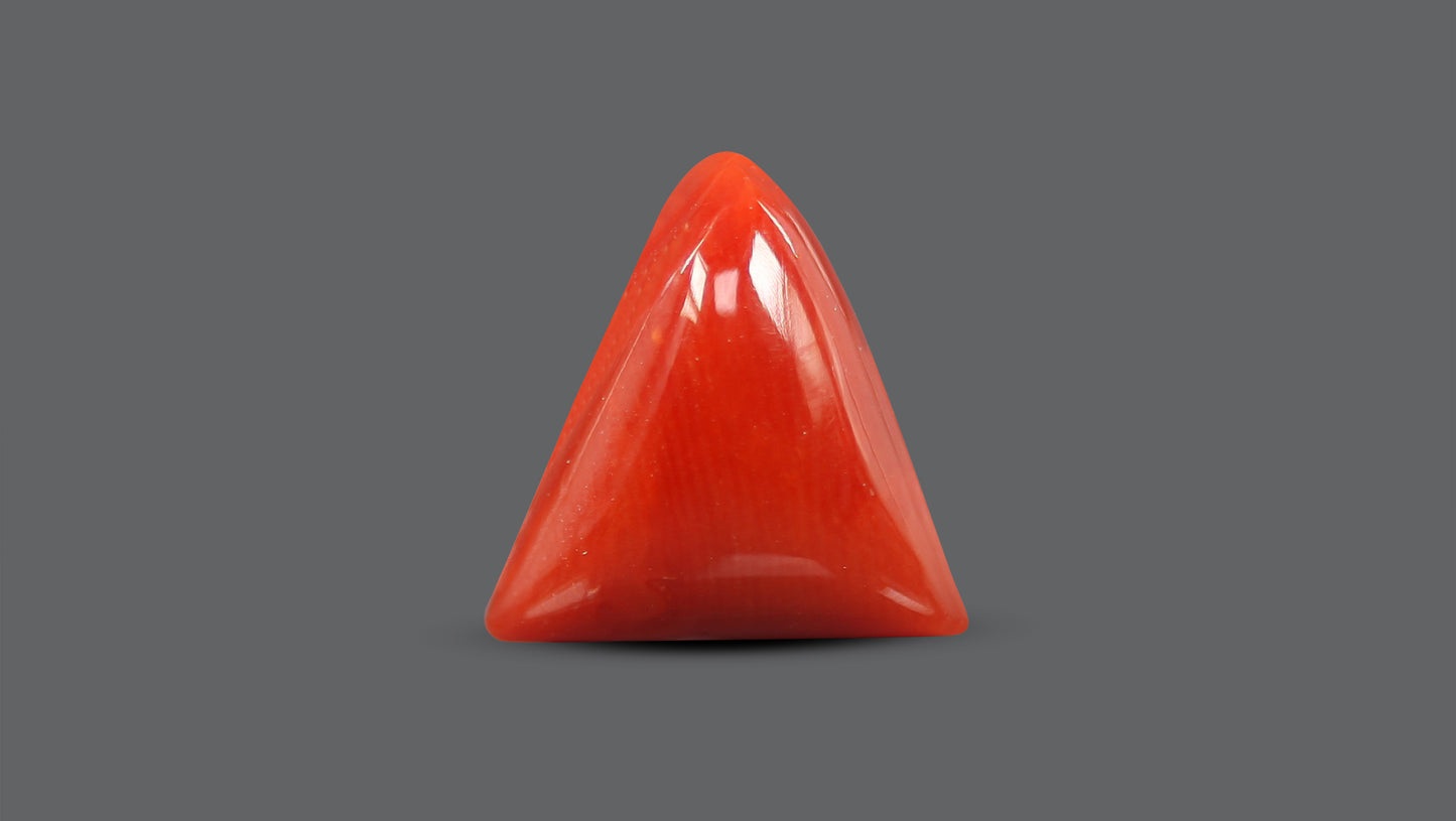 Natural Italian Red Coral (Moonga) 5.56 Carats