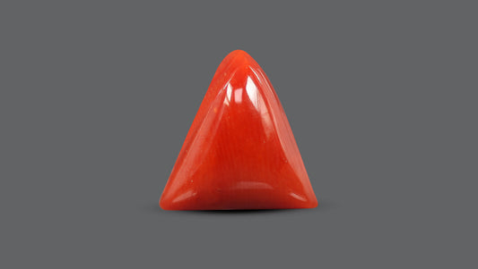 Natural Italian Red Coral (Moonga) 5.56 Carats