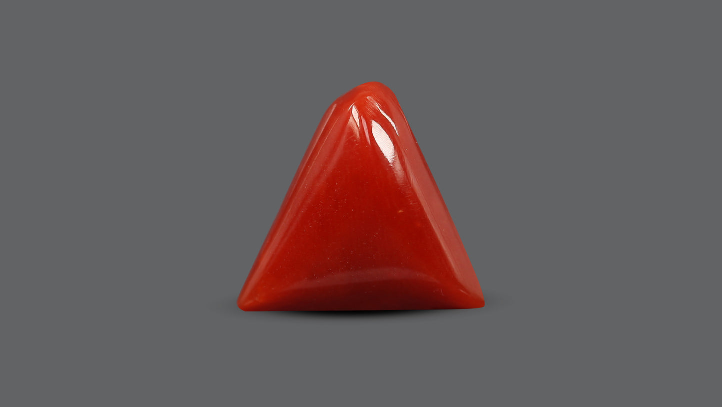 Natural Italian Red Coral (Moonga) 5.91 Carats