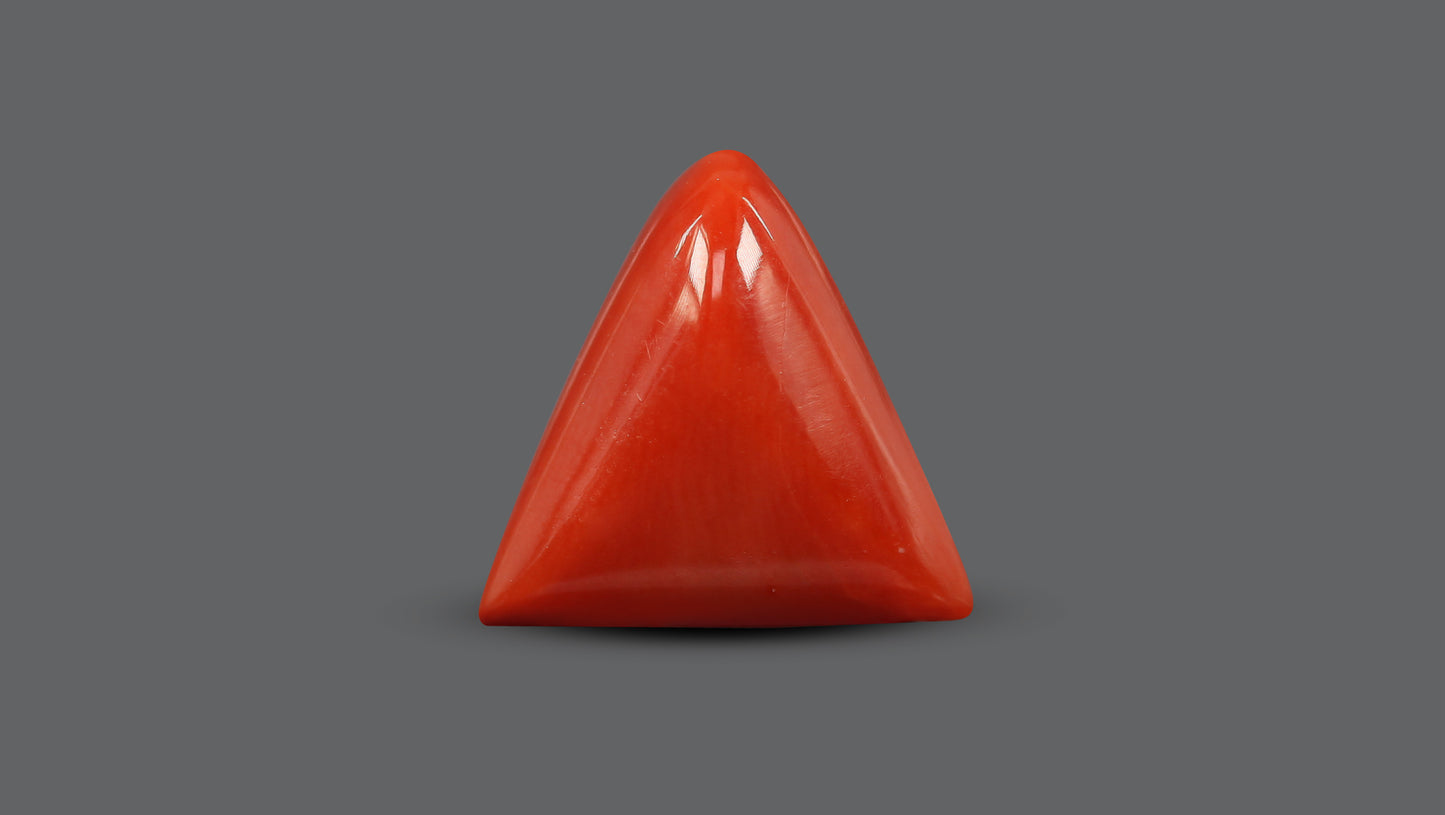 Natural Italian Red Coral (Moonga) 7.58 Carats