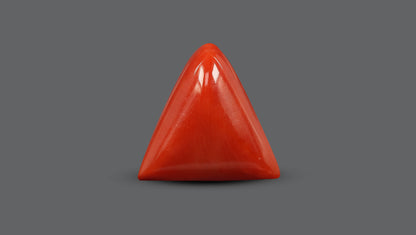 Natural Italian Red Coral (Moonga) 7.58 Carats