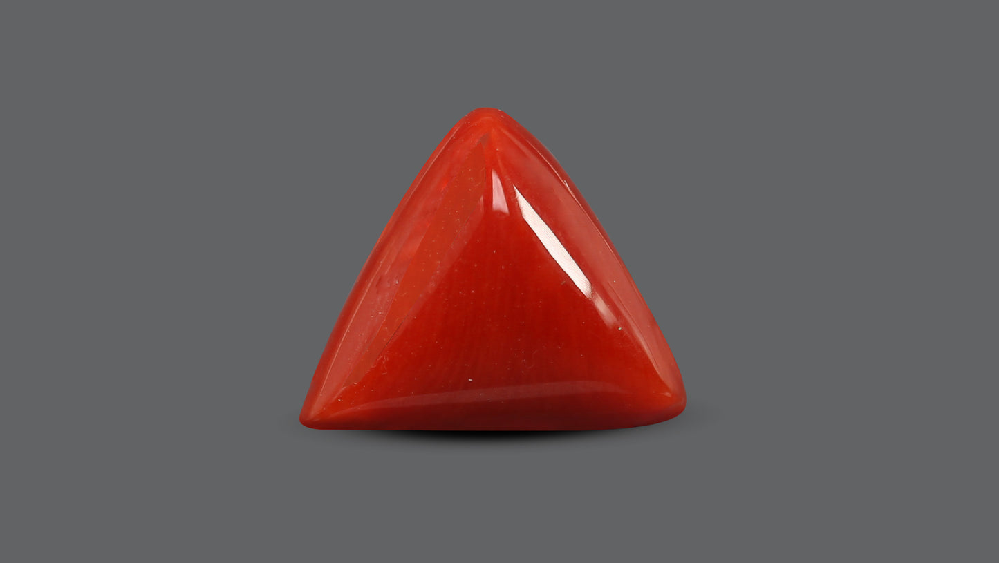 Natural Italian Red Coral (Moonga) 5.68 Carats