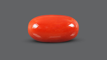 Natural Italian Red Coral (Moonga) 9.52 Carats
