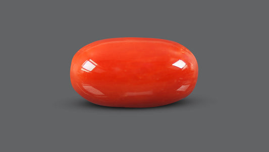 Natural Italian Red Coral (Moonga) 9.52 Carats