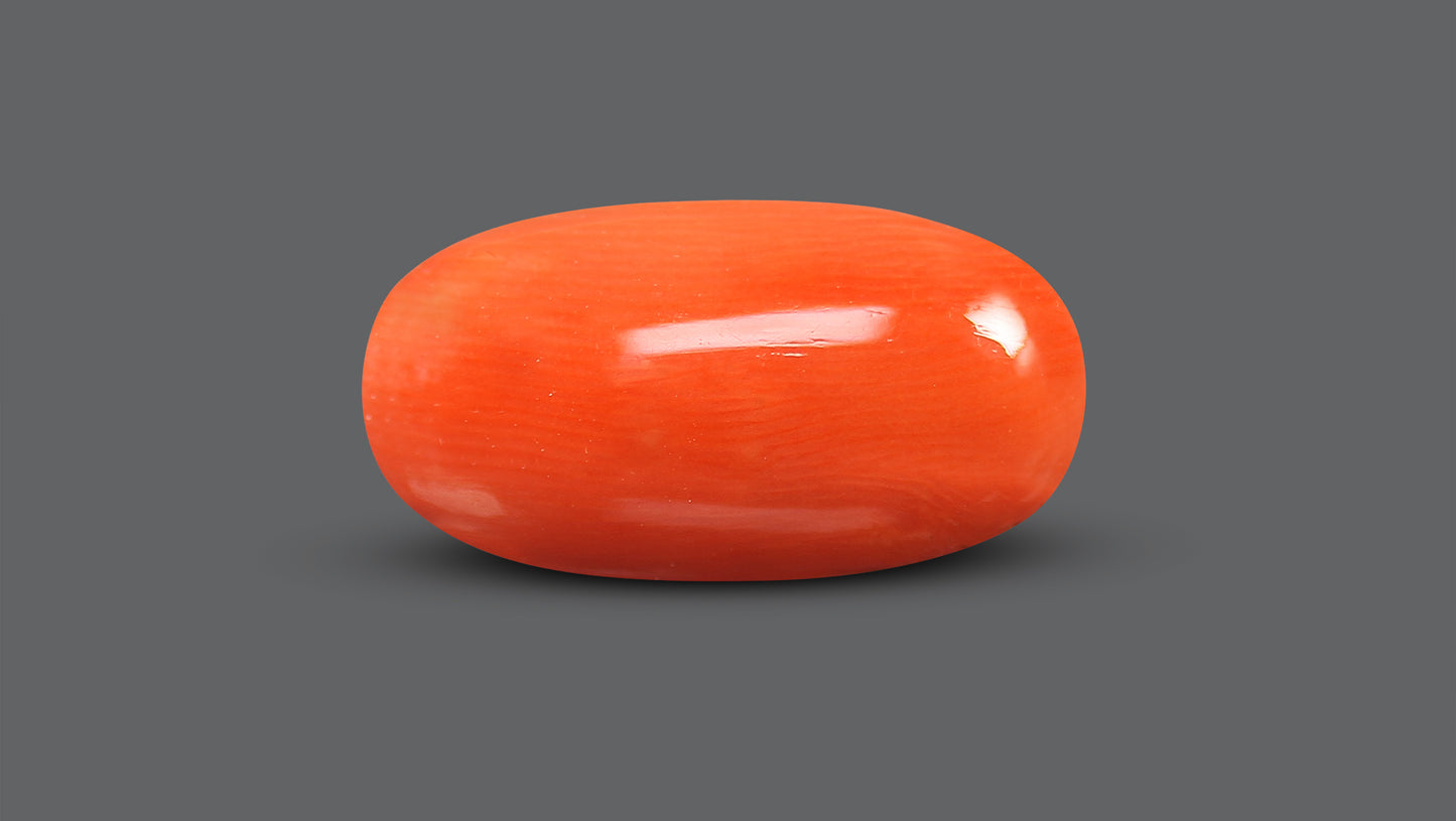 Natural Italian Red Coral (Moonga) 8.66 Carats