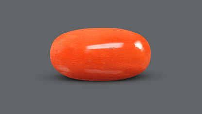 Natural Italian Red Coral (Moonga) 8.66 Carats