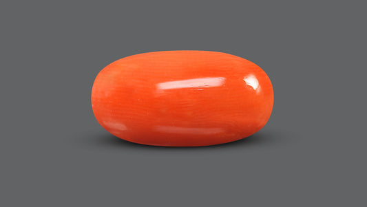 Natural Italian Red Coral (Moonga) 8.66 Carats