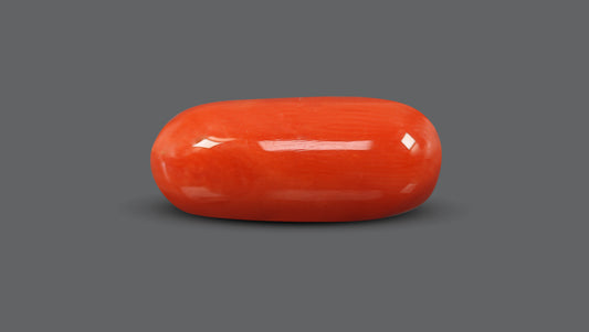 Natural Italian Red Coral (Moonga) 10.05 Carats