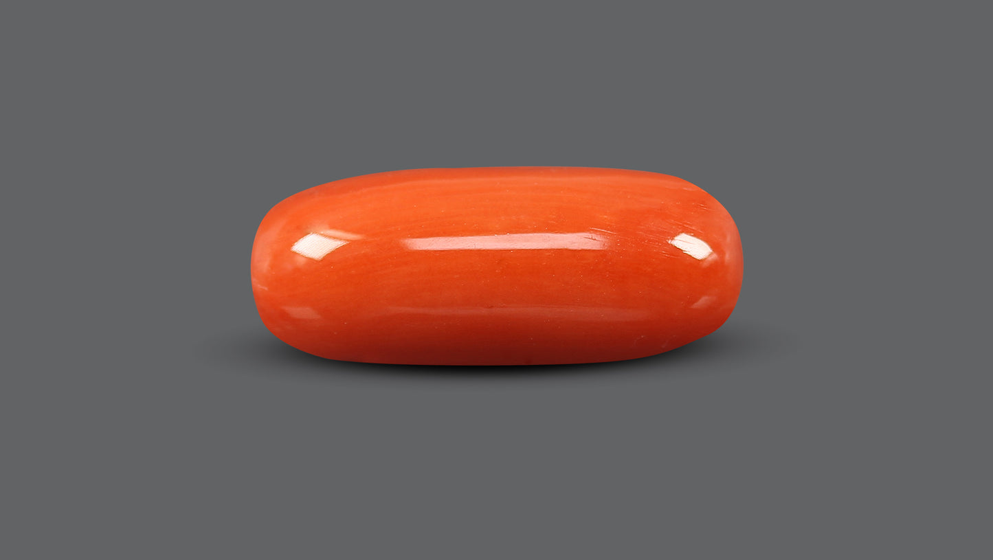 Natural Italian Red Coral (Moonga) 9.64 Carats