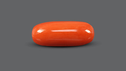 Natural Italian Red Coral (Moonga) 9.64 Carats