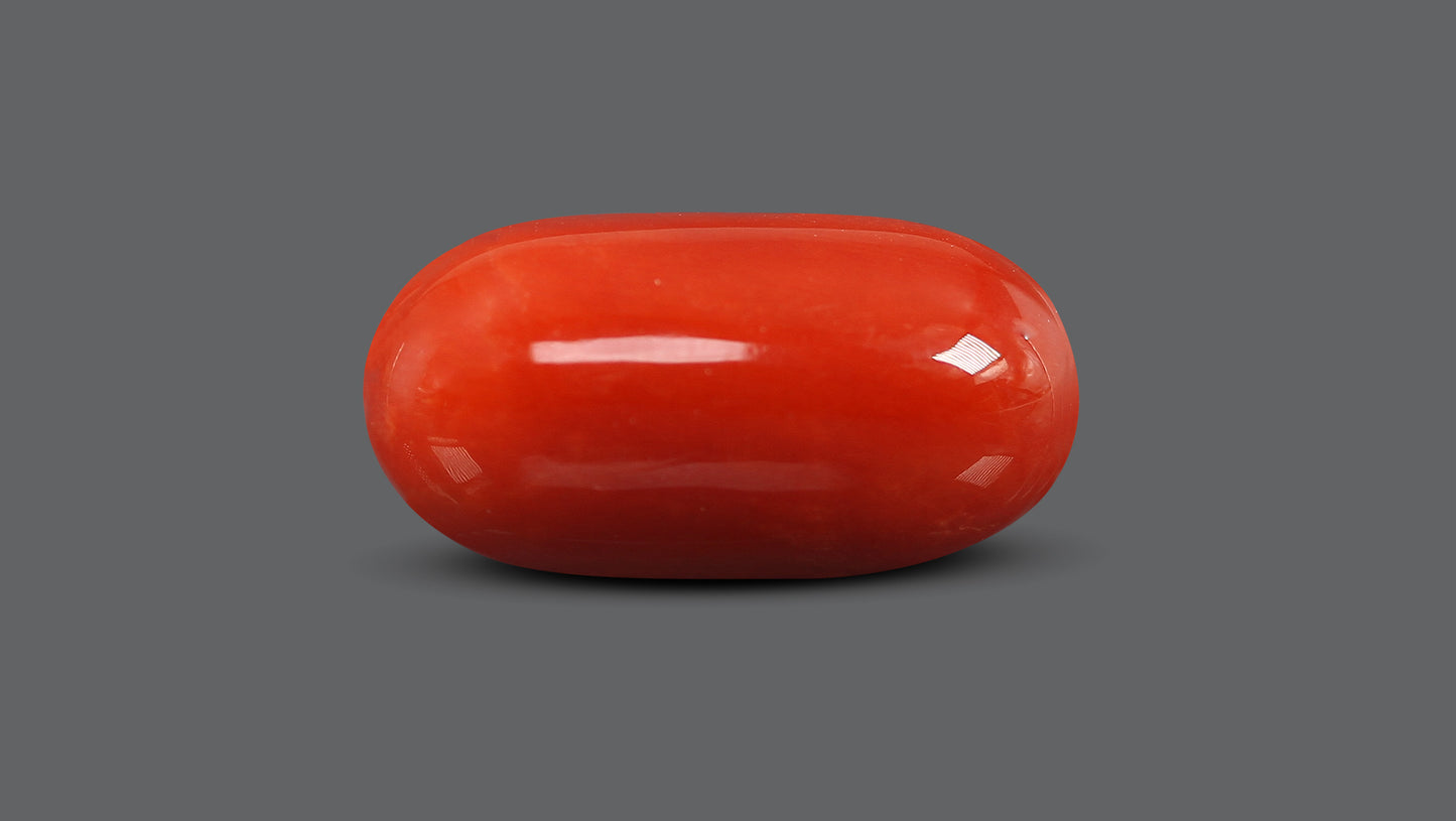 Natural Italian Red Coral (Moonga) 15.82 Carats