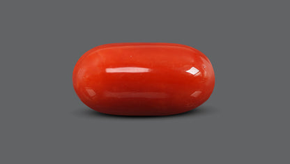 Natural Italian Red Coral (Moonga) 15.82 Carats
