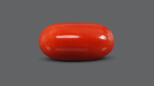 Natural Italian Red Coral (Moonga) 15.82 Carats