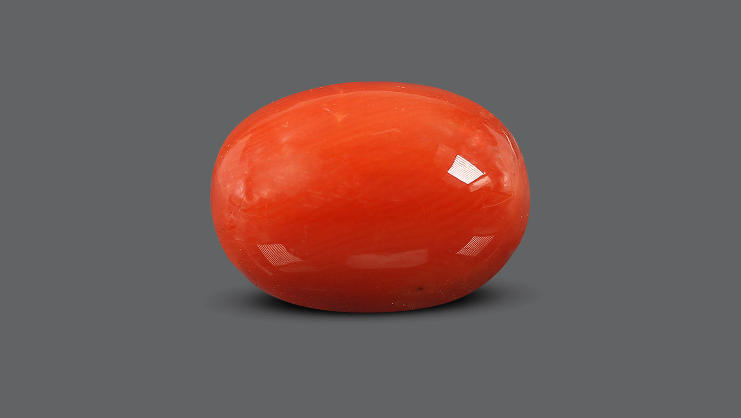 Natural Italian Red Coral (Moonga) 10.78 Carats