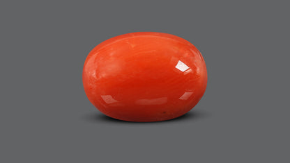 Natural Italian Red Coral (Moonga) 10.78 Carats