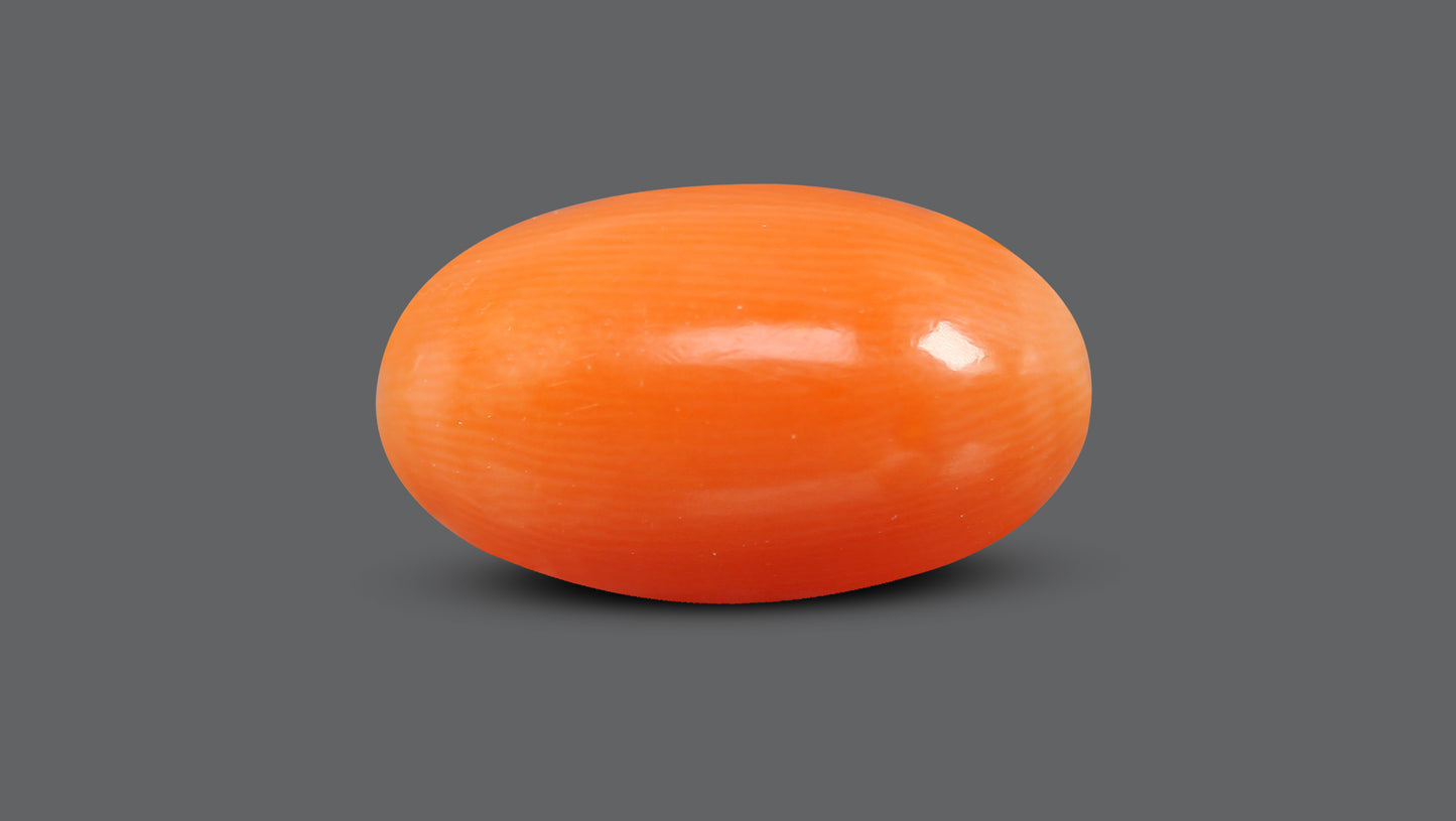 Japanese Red Coral (Moonga) 7.13 Carats