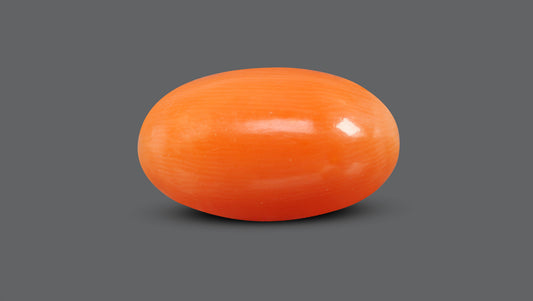 Japanese Red Coral (Moonga) 7.13 Carats