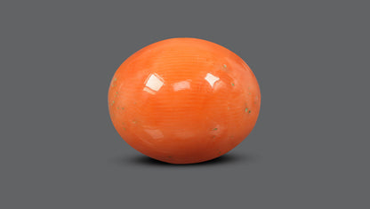 Japanese Red Coral (Moonga) 14.11 Carats