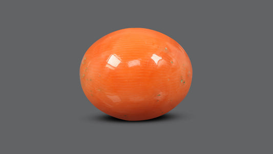 Japanese Red Coral (Moonga) 14.11 Carats