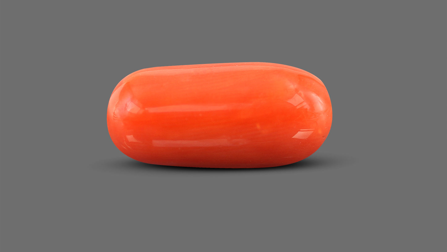 Natural Italian Red Coral (Moonga) 12.36 Carats