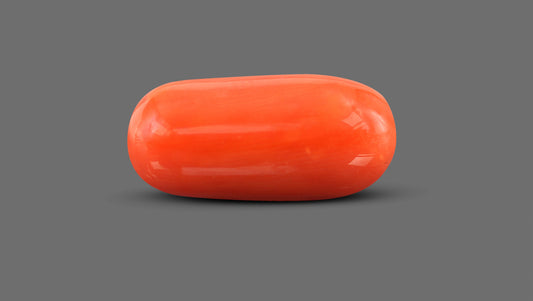 Natural Italian Red Coral (Moonga) 12.36 Carats