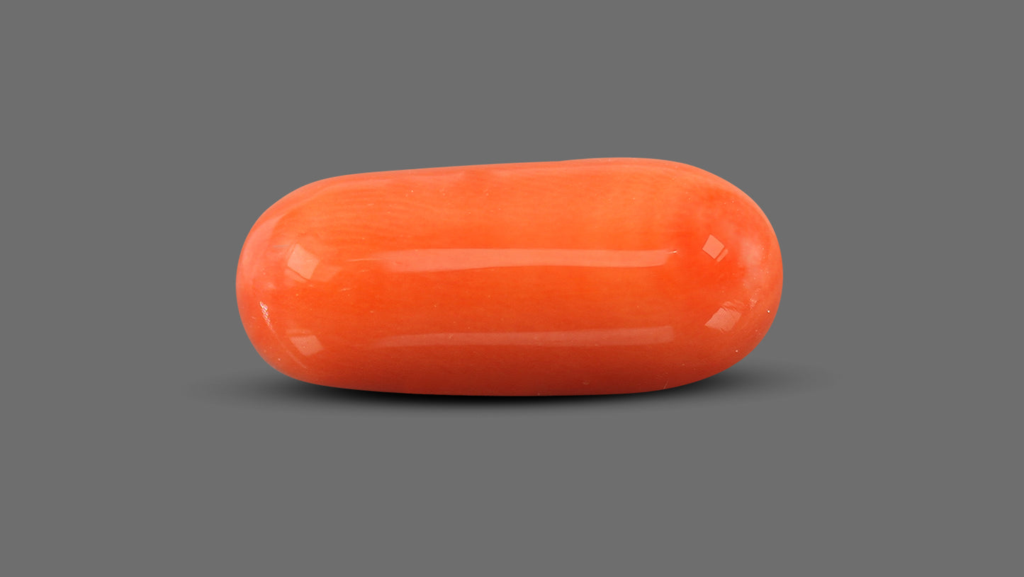 Natural Italian Red Coral (Moonga) 11.30 Carats