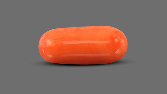 Natural Italian Red Coral (Moonga) 11.30 Carats